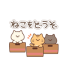 シンプル茶トラ猫たち(猫の日とか！)（個別スタンプ：6）