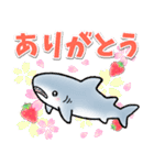 生活感のあるサメ7〜春のサメ〜（個別スタンプ：13）