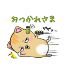 猫のぶちゃまる☆その8（個別スタンプ：5）