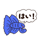 使いやすい！青い熱帯魚の「ベタ」（個別スタンプ：2）