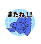 使いやすい！青い熱帯魚の「ベタ」（個別スタンプ：23）