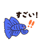 使いやすい！青い熱帯魚の「ベタ」（個別スタンプ：25）