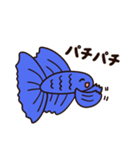 使いやすい！青い熱帯魚の「ベタ」（個別スタンプ：28）