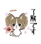 愛犬の名前が入る♡パピヨン♡ハンコ入り（個別スタンプ：1）