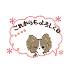 愛犬の名前が入る♡パピヨン♡ハンコ入り（個別スタンプ：30）