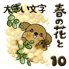 [LINEスタンプ] プードル犬 10『大きめ文字＆春の花』