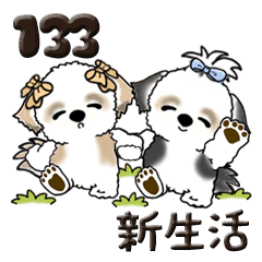 [LINEスタンプ] シーズー犬 133『新生活に便利』