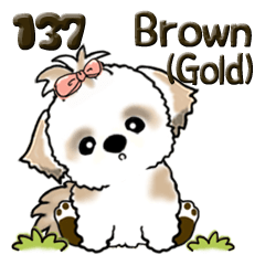 [LINEスタンプ] シーズー犬 137『brown-gold ＆ white』
