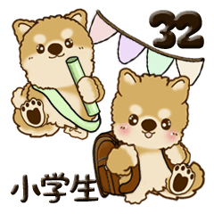 [LINEスタンプ] 柴犬 ちゃちゃ丸たち 32『小学生＆運動会』
