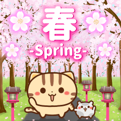 [LINEスタンプ] 春も飛び出す♪ネコちゃん ハムちゃん