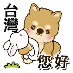 [LINEスタンプ] 柴犬・ちゃちゃ丸 『台湾の言葉』