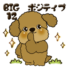 [LINEスタンプ] 【Big】プードル犬 12『ポジティブ』
