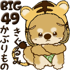 [LINEスタンプ] 【Big】ちゃちゃ丸 49『きぐるみ』