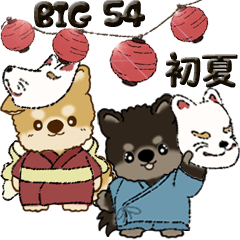 [LINEスタンプ] 【Big】柴犬・ちゃちゃ丸たち 54『初夏』